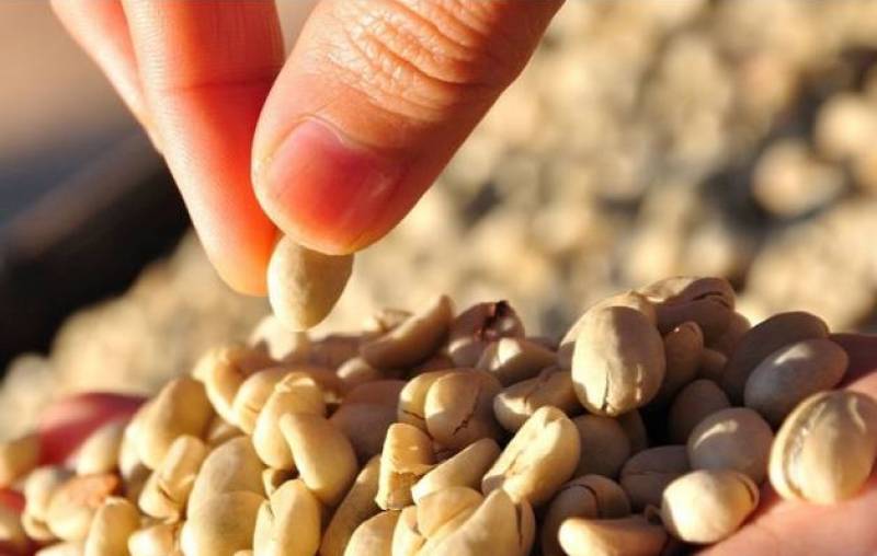 D'où viennent les produits Buenavita ?